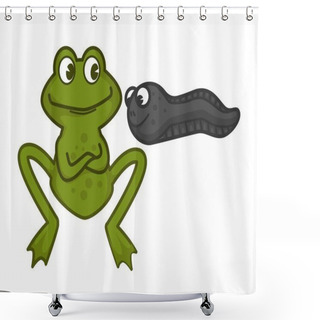 Personality  Mother Green Frog And Funny Baby Tadpole With Big Eyes. Amphibious Animal With Smooth Skin. Wildlife Creatures Parent And Child Isolated Cartoon Flat Vector Illustration On White Background. Shower Curtains