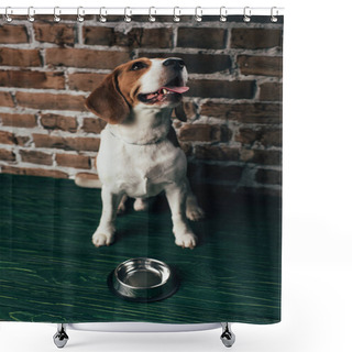 Personality  Adorable Beagle Dog Near Metal Bowl On Green Floor Shower Curtains
