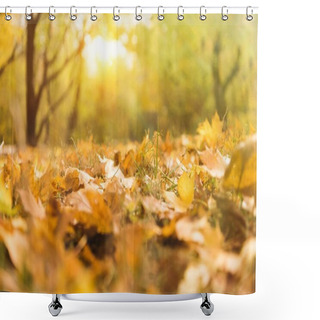 Personality  Fallen Maple Leaves Shower Curtains