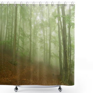 Personality  Mystical Forest: A Serene Ecstasy Of Mystery And Enchantment Shower Curtains