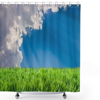 Personality  Spring Summer Lawncare Shower Curtains
