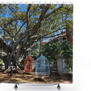 Personality  Two Human-sized Large Bird Cage Seats Hanging From Moreton Bay Fig Tree On Murray Street, City Of Perth, Western Australia Shower Curtains