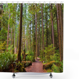Personality  Path To Marymere Falls Shower Curtains