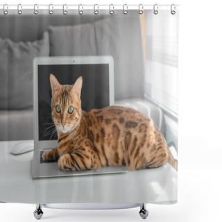 Personality  Bengal Domestic Cat Lies On A Laptop Keyboard In The Living Room. Shower Curtains