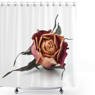 Personality  Dried Rose Flower Bud Shower Curtains