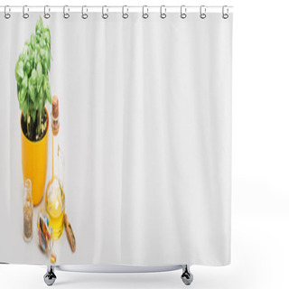 Personality  Panoramic Shot  Of Green Plant In Flowerpot Near Pills In Glass Bottles And Essential Oil On White Background, Naturopathy Concept Shower Curtains