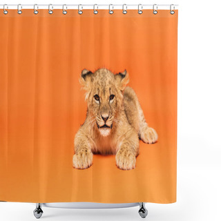 Personality  Cute Lion Cub Lying On Orange Background Shower Curtains