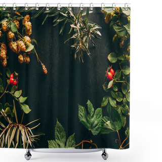 Personality  Flat Lay With Autumn Plants Arrangement On Black Background Shower Curtains