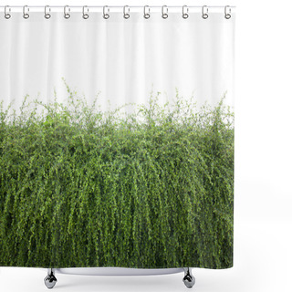 Personality  Bushes Fence Leaves Shower Curtains