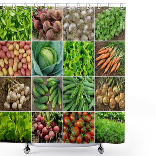 Personality  Vegetables And Greens Shower Curtains