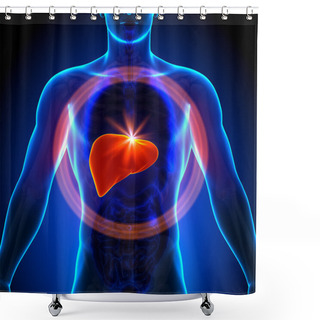 Personality  Liver - Male Anatomy Of Human Organs - X-ray View Shower Curtains