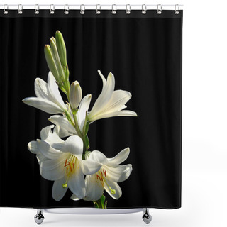 Personality  White Lilies On Black Background Shower Curtains