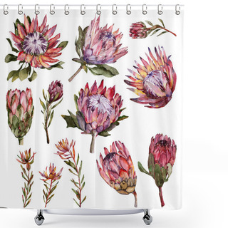 Personality  Watercolor Protea Flowers Set Shower Curtains