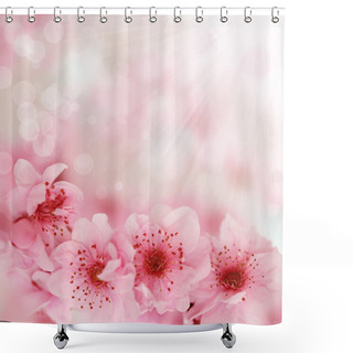 Personality  Soft Spring Cherry Flowers Background Shower Curtains