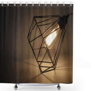 Personality  Loft-style Lamp For Apartment Interior Decor. Shower Curtains