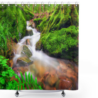 Personality  Forest Brook In Moss-covered Environment Shower Curtains