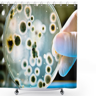 Personality  Petri Dish With Bacteria Culture Shower Curtains