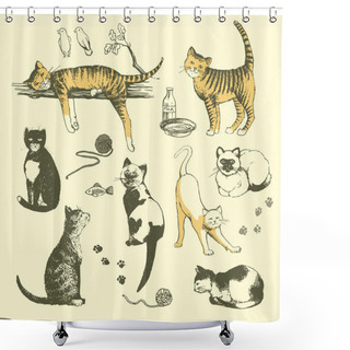 Personality  Vintage Cats. Shower Curtains