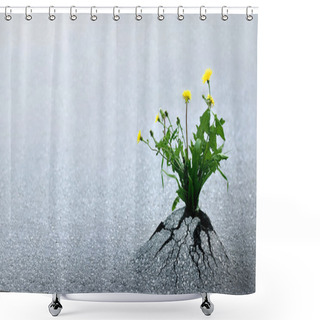 Personality  Life Triumphs Against All Odds Shower Curtains