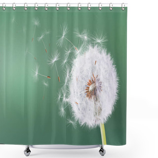 Personality  Dandelion Flying On Green Background Shower Curtains