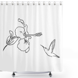 Personality  Hand Drawn Vector Illustration Isolated On White Background. Sketch For Tattoo.Hummingbird Drawing. Shower Curtains