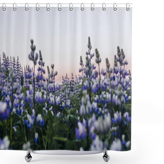 Personality  Purple Shower Curtains