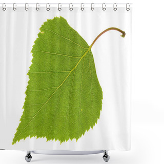 Personality  Birch Leaf Shower Curtains