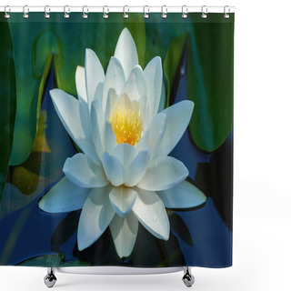 Personality  Water Lily On A Lake Shower Curtains