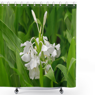 Personality  White Garland-lily, White Ginger Lily Flower (Hedychium Coronarium) Shower Curtains