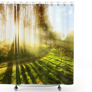 Personality  Sunny Forest Early In The Morning Shower Curtains