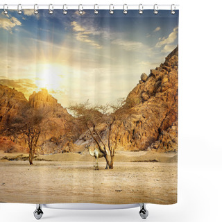 Personality  Camel In Mountains Shower Curtains