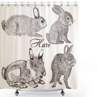 Personality  Vector Set Of Hand Drawn Rabbits Shower Curtains