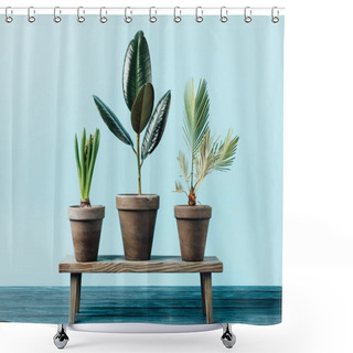 Personality  Close Up View Of Green Plants In Flowerpots On Wooden Decorative Bench Isolated On Blue Shower Curtains