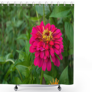 Personality  Zinnia Flowers On The Natural Background Shower Curtains