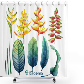 Personality  Watercolor Heliconia Collection Shower Curtains
