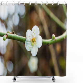 Personality  Plum Blossom Shower Curtains
