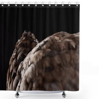 Personality  Texture Of Brown Chicken Feathers Isolated On Black, Selective Focus  Shower Curtains