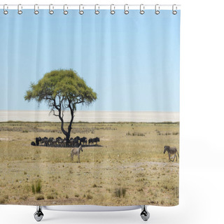 Personality  Wild Gnu Herd Beneath Tree In The African Savanna Shower Curtains