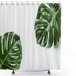 Personality  Top View Of Green Palm Leaves On White Background Shower Curtains