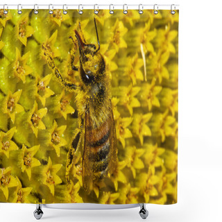 Personality  European Honey Bee Shower Curtains