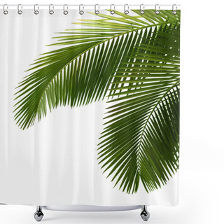 Personality  Leaves Of Palm Tree Shower Curtains