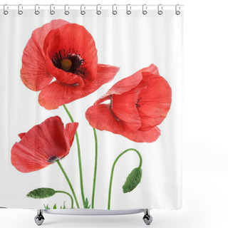Personality  Beautiful Red Poppies Isolated On A White Background. Shower Curtains