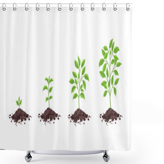 Personality  Growth Stages Diagram. Sprout Seedling Shoot Germination In The Pile Dirt Soil. Development Stage. Animation Progression. Vector Infographic. Business Cycle Development. Shower Curtains