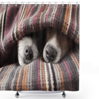 Personality  Couple Of Dogs  Shower Curtains