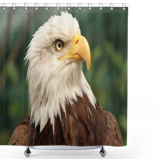 Personality  Portrait Of A Bald Eagle Shower Curtains