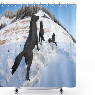 Personality  Samarovsky Outlier. Archeopark. Wolf Pack. Shower Curtains