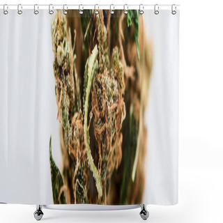 Personality  Close Up View Of Textured Marijuana Bud Isolated On White, Panoramic Shot Shower Curtains