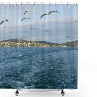 Personality  Seagulls Flying Above Sea With Princess Islands At Background In Turkey  Shower Curtains