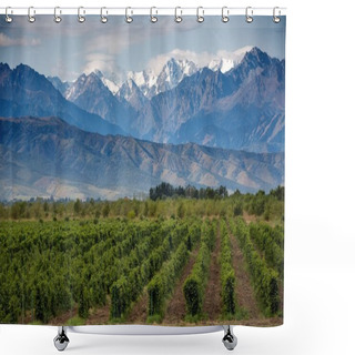 Personality  Beautiful Landscape Of Vineyards Shower Curtains