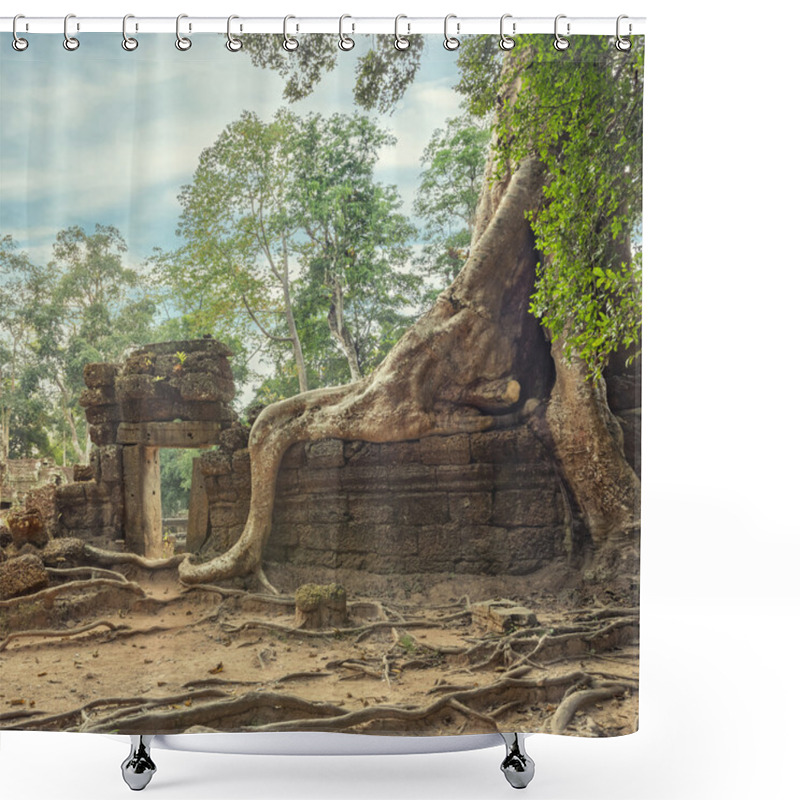 Personality  Ta Prohm Temple Ancient Tree Roots, Angkor  Shower Curtains
